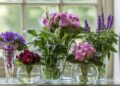 6 plantas que florescem na água e transformam qualquer canto da casa