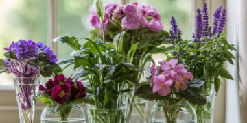 6 plantas que florescem na água e transformam qualquer canto da casa