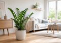 5 plantas que adoram pouca luz e transformam qualquer canto de casa