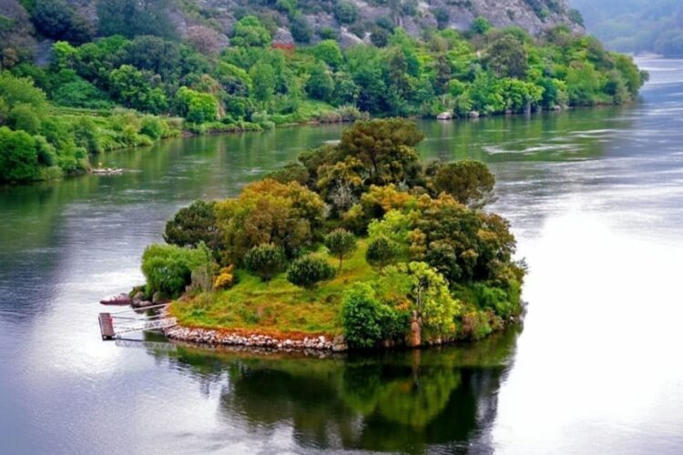 Ilha dos Amores: uma ilha deserta e paradisíaca em pleno Douro