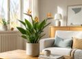 7 plantas de interior grandes que transformam a sua casa com pouco esforço