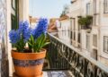 Flores azuis: 7 plantas que trazem serenidade e frescura ao seu jardim