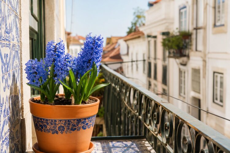 Flores azuis: 7 plantas que trazem serenidade e frescura ao seu jardim