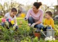 Jardinagem com crianças: atividades simples para despertar o gosto pelas plantas desde cedo
