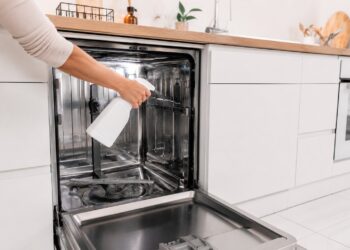 7 formas simples de eliminar o mau cheiro da máquina de lavar louça