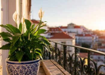Lírio-da-paz: o guia completo para cuidar desta planta cheia de elegância e significado