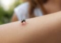 Porque é que os mosquitos picam mais certas pessoas - o que a ciência explica