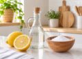 Produtos de limpeza caseiros: receitas naturais e eficazes para toda a casa