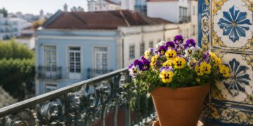 Como escolher o vaso certo para as suas plantas