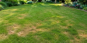 Porque a relva do jardim fica com manchas amarelas em certas zonas