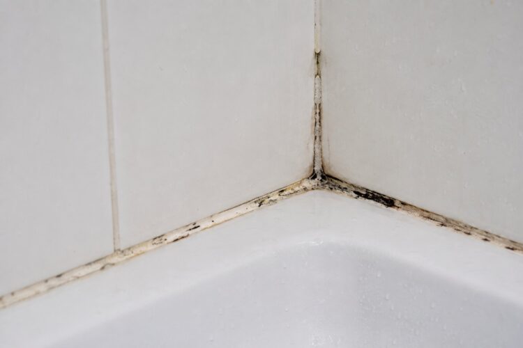 Como limpar e prevenir bolor no silicone da banheira e do lavatório