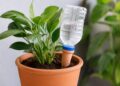Como fazer rega automática caseira para plantas durante as férias