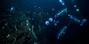 Porque quase todo o fundo do oceano continua por explorar