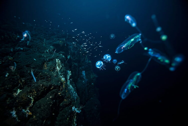 Porque quase todo o fundo do oceano continua por explorar