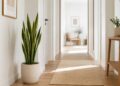 As melhores plantas para o corredor: como dar vida ao espaço mais esquecido da casa