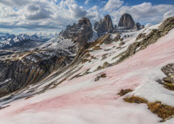 Porque existe neve cor-de-rosa em certas montanhas