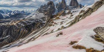 Porque existe neve cor-de-rosa em certas montanhas