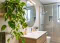 As melhores plantas para casas de banho húmidas