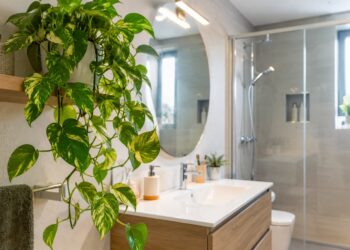 As melhores plantas para casas de banho húmidas