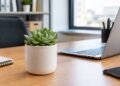 As melhores plantas de interior para escritórios em casa