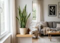 Plantas que ajudam a manter o ar de casa mais limpo, sem qualquer aparelho