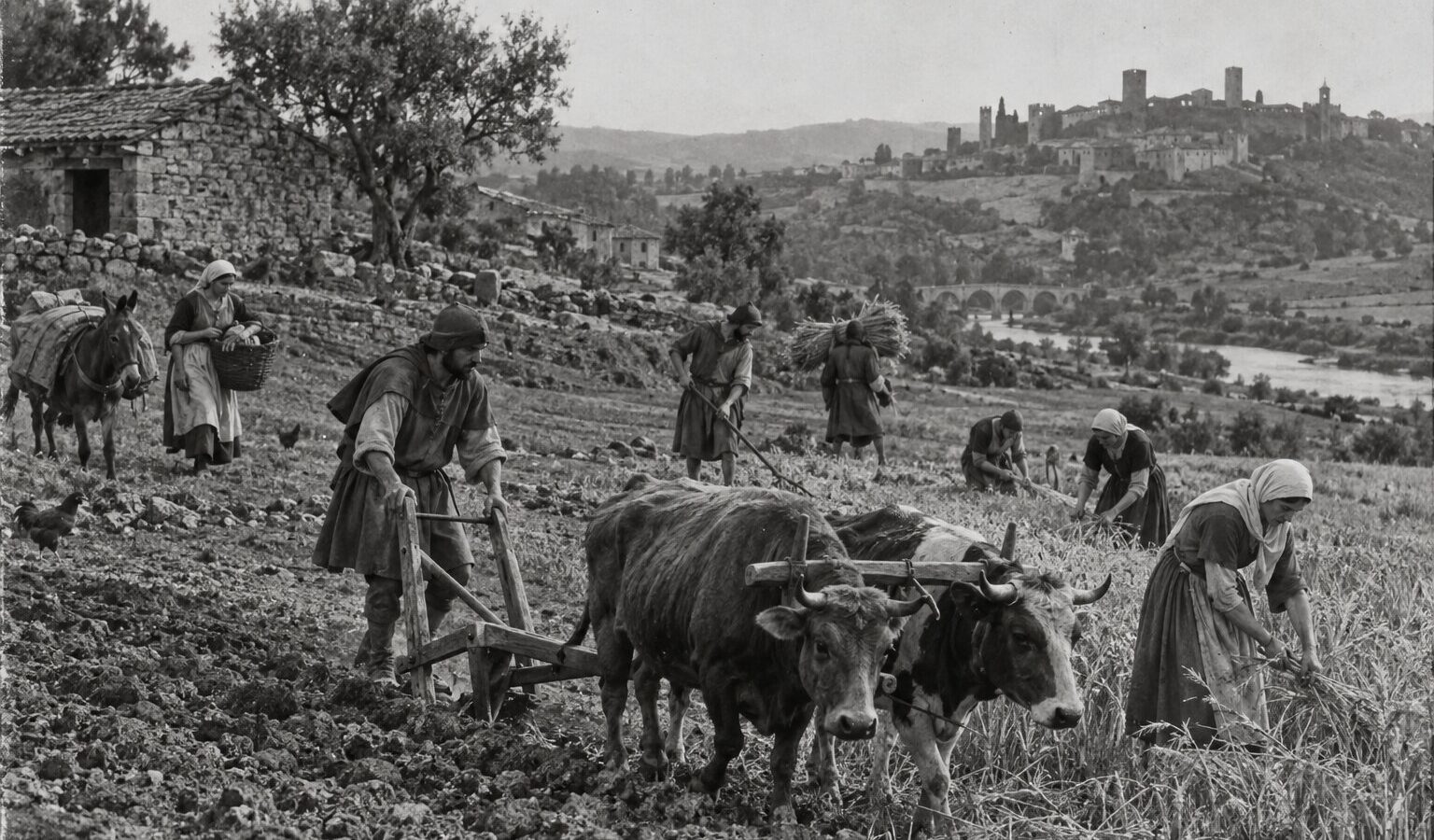 Lei das Sesmarias: a regra de 1375 que tirava a terra a quem a deixava por cultivar