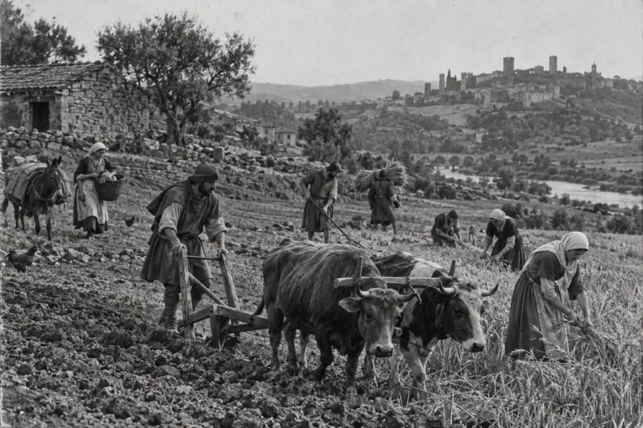 Lei das Sesmarias: a regra de 1375 que tirava a terra a quem a deixava por cultivar